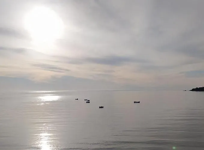 게스트하우스 Harmony 3*