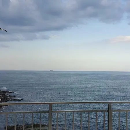 Harmony 招待所 3*