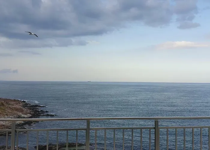 Harmony 招待所 3*